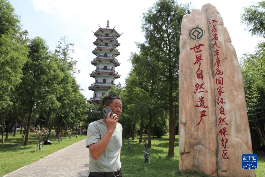 韦德红利